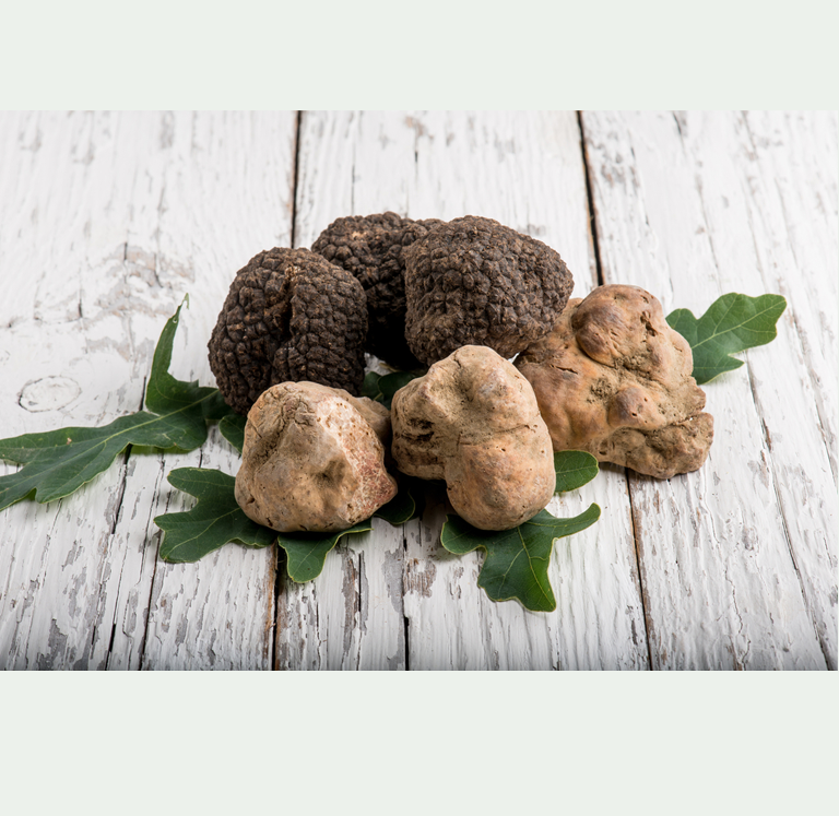 Taglia tartufo – La Fungheria